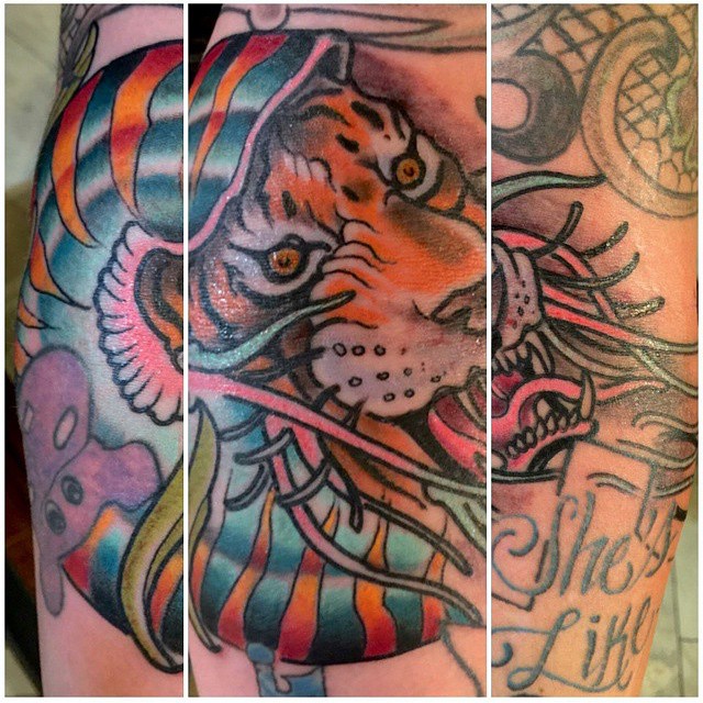 Tiger cephalopod tattoo by Keith Diffenderfer @kdiffenderfertattooer at Remington Tattoo #remingtontattoo #Nautilus #nautilusTattoo #cephalopod #tigertattoo #neotraditional #neotrad #ntgallery